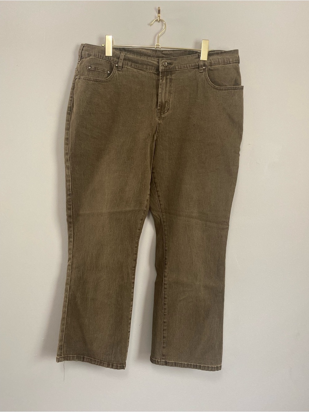 DG2 by Diane Gilman Jeans 18WP Studs Boho Festival Western Rodeo Earthy Grunge